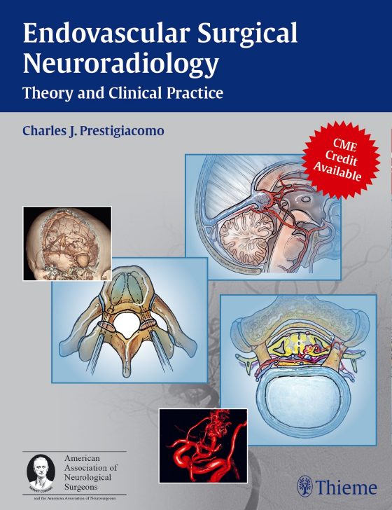 Endovascular Surgical Neuroradiology Original PDF