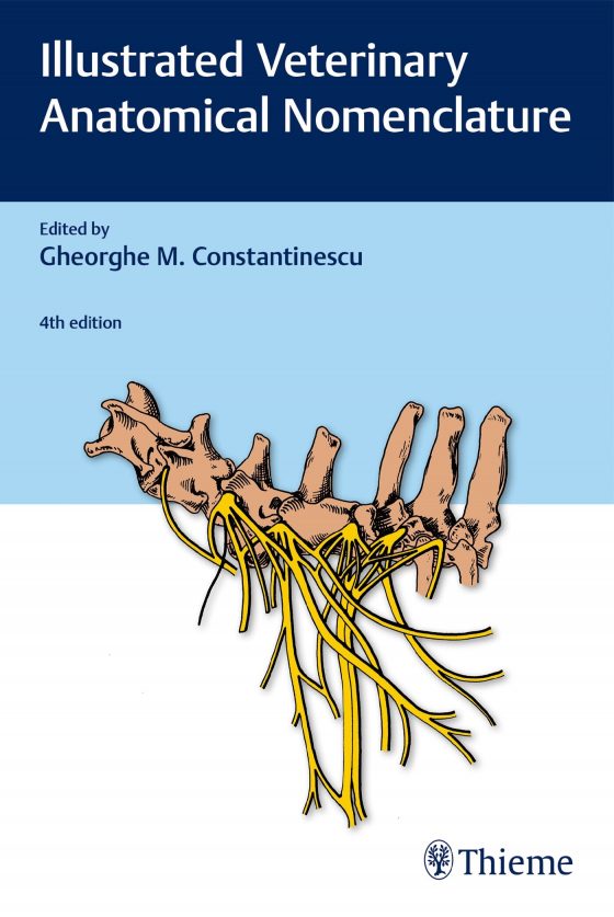 Illustrated Veterinary Anatomical Nomenclature Original PDF