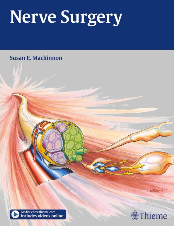 Nerve Surgery Original PDF