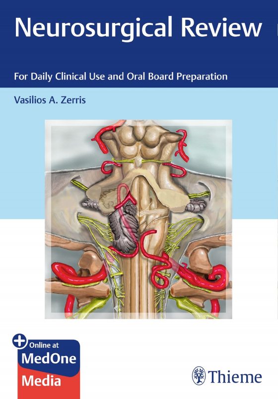Neurosurgical Review Original PDF