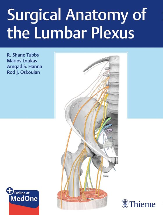 Surgical Anatomy of the Lumbar Plexus Original PDF