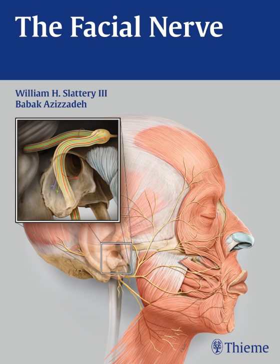 The Facial Nerve Original PDF