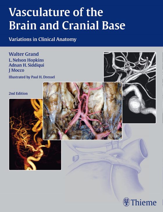 Vasculature of the Brain and Cranial Base Original PDF