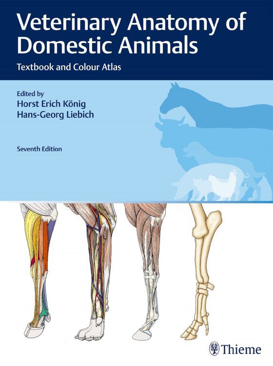 Veterinary Anatomy of Domestic Animals Original PDF